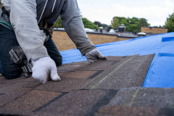 Best Commercial Roofing Services  in Greensboro, AL