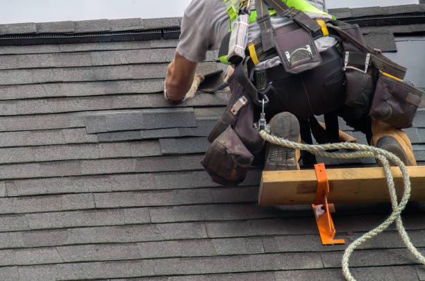 Best Storm Damage Roof Repair  in Greensboro, AL